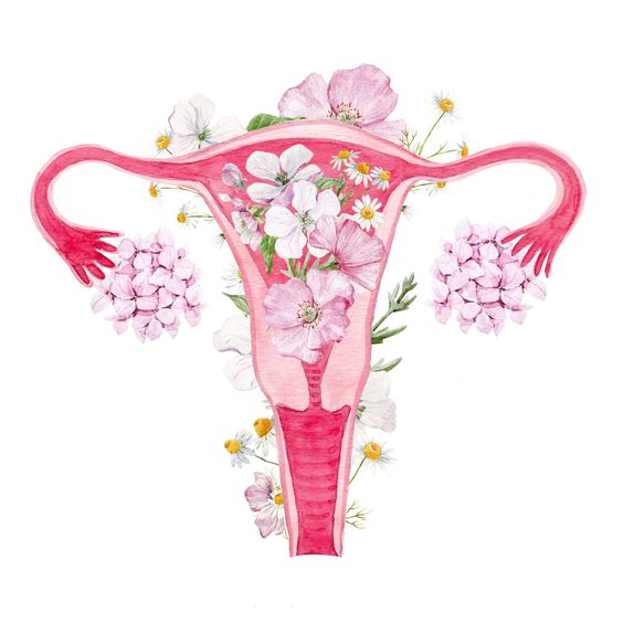 What is menstruation? NiceDay Sanitary woman pads